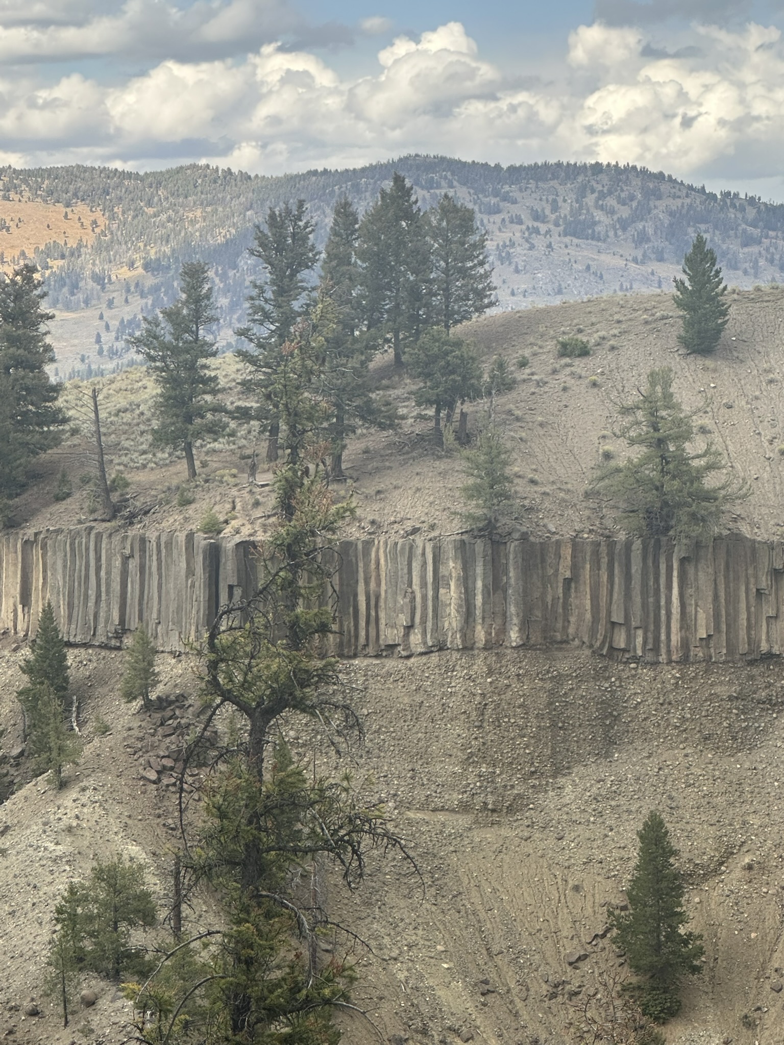 Yellowstone And Grand Teton National Parks - Image 845